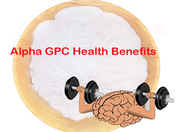 What Are The Benefits Of Glycerophosphocholine?